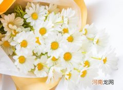 醒花醒多久合适？醒花是怎么醒的