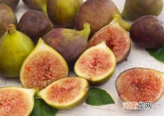 自己种无花果怎么避免无花果没熟就蔫了？无花果怎么养护