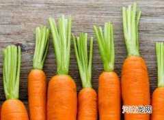 胡萝卜什么时候播种最好？胡萝卜怎么种植产量高