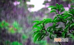 雨水节气天气还冷吗 雨水节气是几久