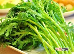 茼蒿种子怎么播种发芽快？茼蒿啥时候种成活率高