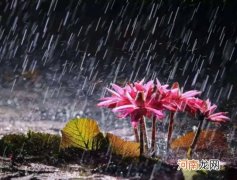 苏州的梅雨季节是几月份到几月份？苏州梅雨季节在什么时候