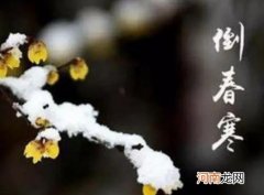 倒春寒对大蒜的长势影响有多大？倒春寒对小麦有什么影响