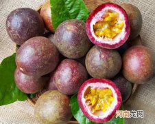 百香果黄叶掉叶如何解决？百香果怎样才能过冬不怕霜冻