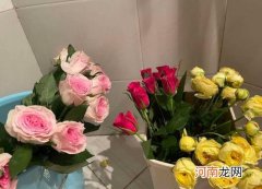 醒花可以醒一天一夜吗？醒花要把花朵一起泡水里吗