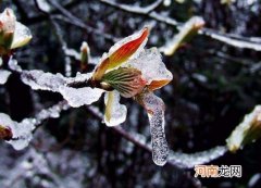 倒春寒会影响下半年天气吗？2022倒春寒什么时候结束