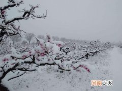 倒春寒会影响一整年的天气吗？2022年有几次倒春寒