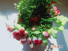 醒花用热水还是冷水？醒花对水温有要求吗