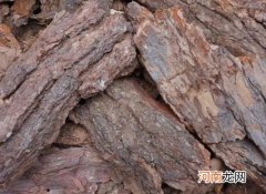 松树皮种花需要发酵吗？松树皮要泡多久能栽兰花