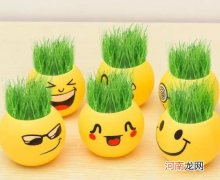 草头娃娃什么季节种好？草头娃娃修剪成什么样好看