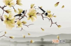 食品营业执照取名字参考 食品商行取名大全最新版