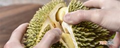青榴莲怎么才能熟 榴莲还没开还是青色的怎么让它熟