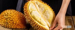 如何挑选榴莲 怎么样挑选榴莲肉多又好吃的
