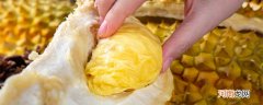 金枕榴莲怎么看熟没熟 金枕榴莲判断生熟方法