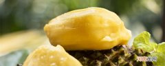 菠萝蜜是发物吗 菠萝蜜属于发物吗