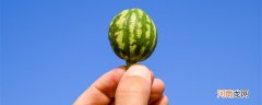 拇指西瓜怎么吃 拇指西瓜是什么瓜