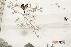 五行兔哪种兔最好 水兔为什么不好