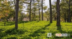 2022农林大学专业排名 各农林大学哪个专业好