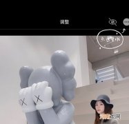 苹果手机怎么放大图片 苹果手机放大镜怎么使用