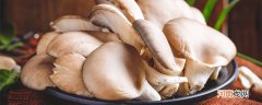 平菇怎么洗 怎么洗平菇