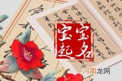 兔年取名字大全女孩属兔 女孩起名字好寓意的