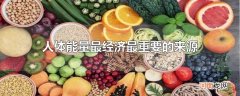 人体能量最经济最重要的来源