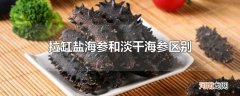 拉缸盐海参和淡干海参区别