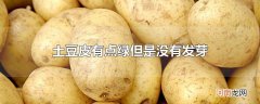 土豆皮有点绿但是没有发芽