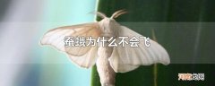 蚕蛾为什么不会飞