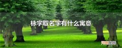 栐字取名字有什么寓意
