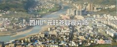 四川广元旺苍县很穷吗