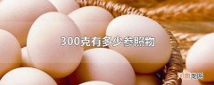 300克有多少参照物