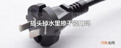 插头掉水里擦干能用吗