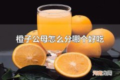橙子公母怎么分哪个好吃 橙子是雌雄同株吗