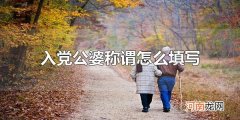 入党公婆称谓怎么填写 入党公婆称谓可以直接写公公、婆婆