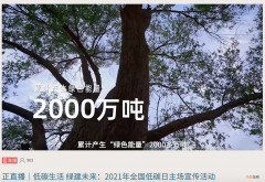 5年带动6亿人“减碳”：蚂蚁森林联合百家企业开启“绿色能量行动”