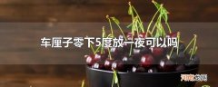 车厘子零下5度放一夜可以吗
