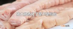 猪大肠煮化了是不是假的