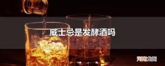 威士忌是发酵酒吗