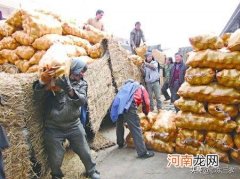 俗语不见兔子不撒鹰事例解读 不见兔子不撒鹰是什么意思