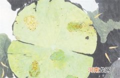 教育科技公司取名字大全教育机构起名大气文雅