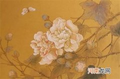 教育科技公司起名大全最新 高端大气的教育机构名字