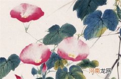 水产品商标名字大全 好听稀少的公司取名