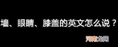 鼻子眼睛膝盖是什么意思 墙壁眼睛膝盖是什么意思