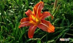 送妈妈便宜又有面子的礼物 妈妈过生日送什么好