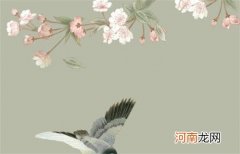 2023年属兔本命年佩戴转运珠 佩戴红绳可以转运吗