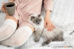 被猫抓伤多少天过危险期