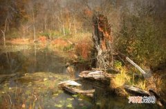 沼泽的分布和生态 沼泽地会把人吸到哪里