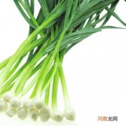 蒜苗的营养价值和功效