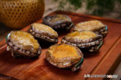 清蒸鲍鱼的时间及注意事项 新鲜鲍鱼蒸多久最佳时间